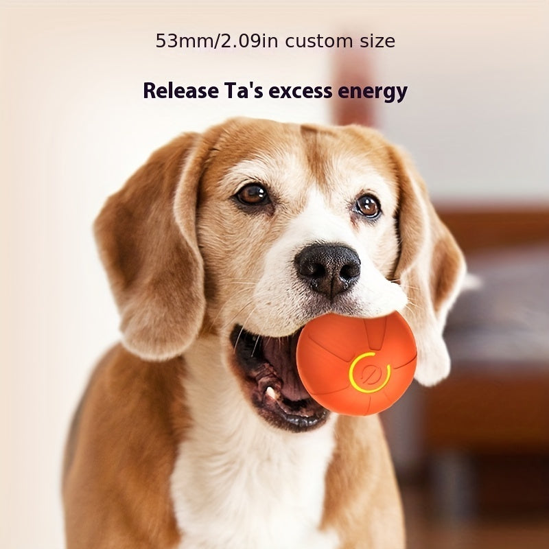 Barkly Interactive Ball™ – A bolinha inteligente que brinca sozinha com seu cão
