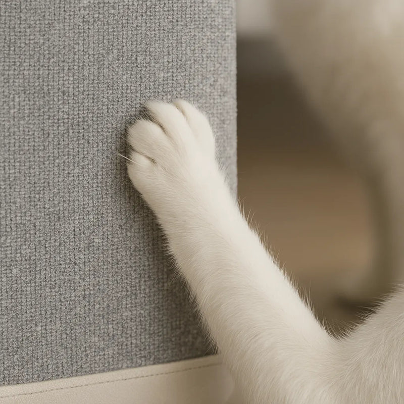 Tapete Protetor de Móveis para Gatos - 30cm x 60cm