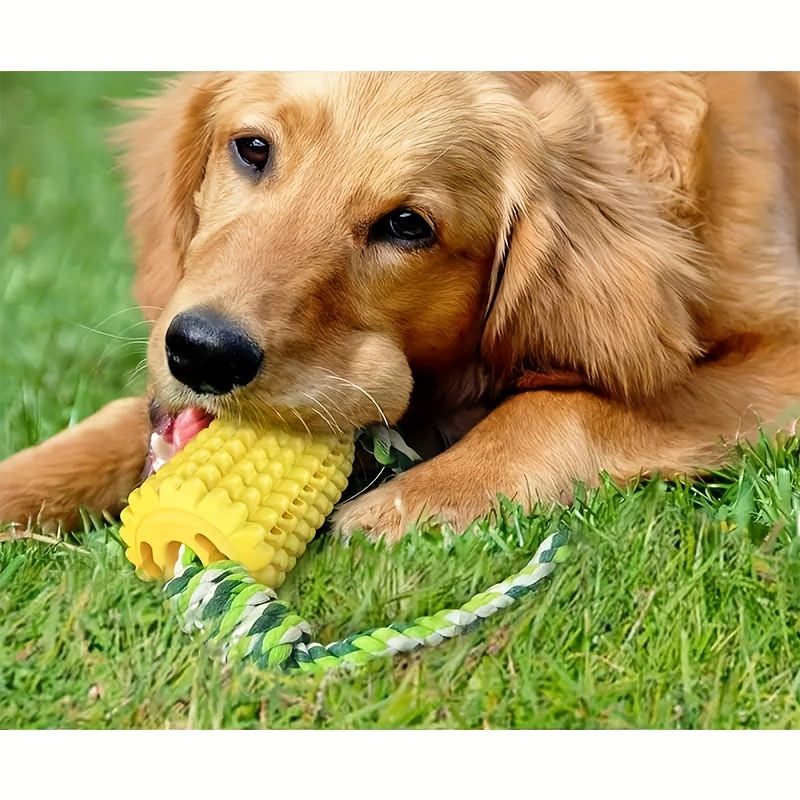Barkly ChewCorn™ – Brinquedo de mastigar resistente e barulhento para mastigadores agressivos (todas as raças)