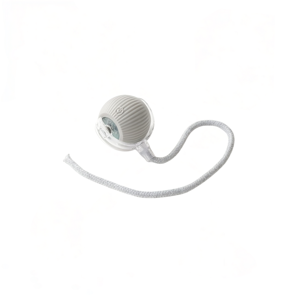 Barkly IntelliRoll™ – 2024 Smart USB Rechargeable Motion Ball for Indoor Cats & Kittens