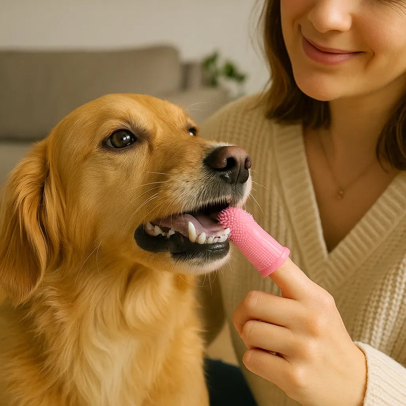 Escova de Dentes 360° para Pets com Estojo — Silicone Macio Antibacteriano