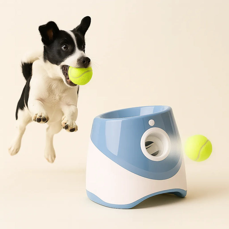 Lançador Automático de Bolas de Tênis para Cães